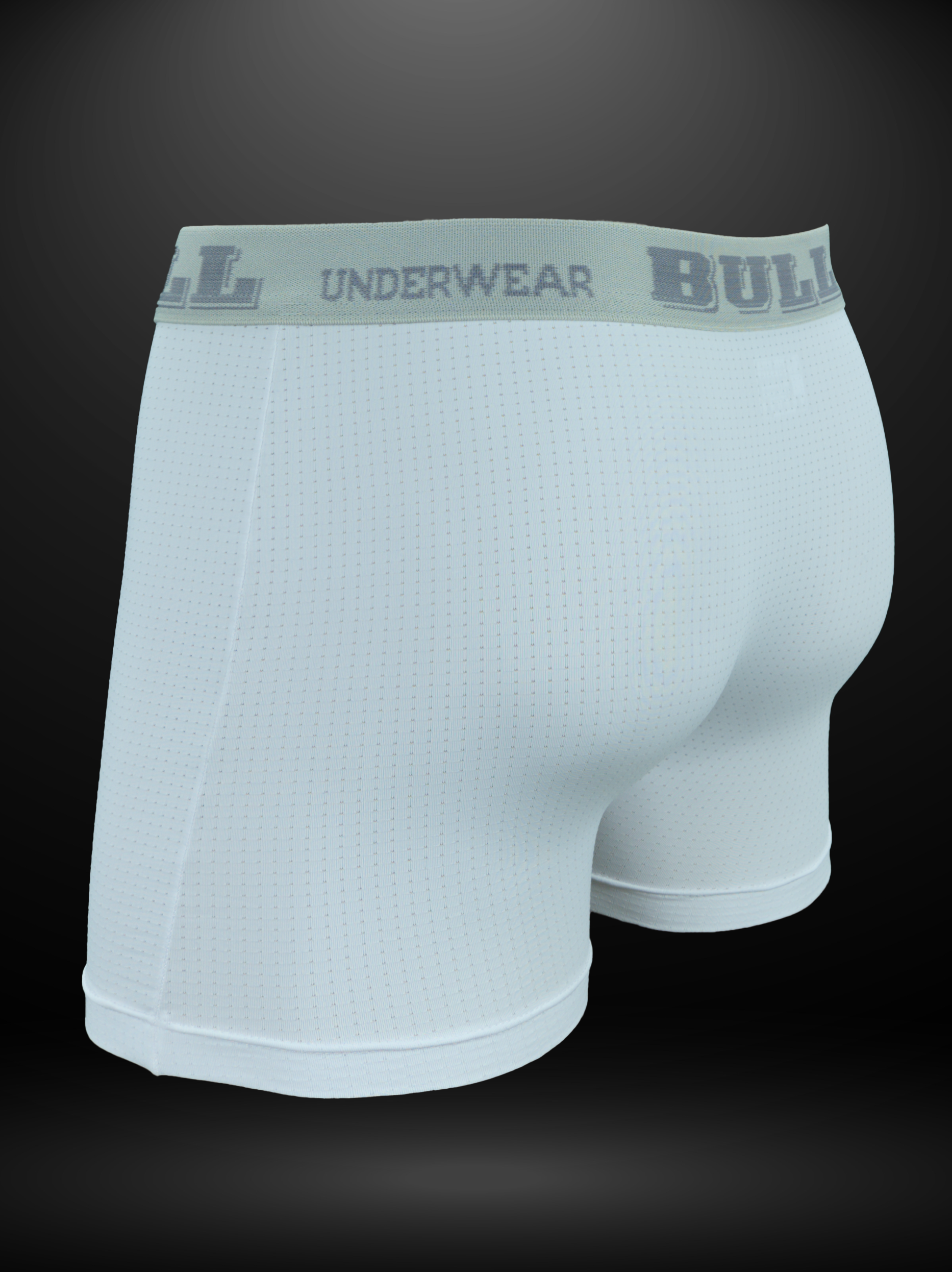Cueca em Dry Poliamida - The Bull Company